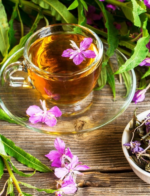 Как заваривать иван-чай в домашних условиях, полезные свойства напитка - «Здоровье»