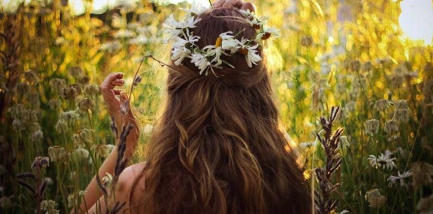 Травы для красивых волос - «Здоровье»