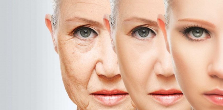 Ученые случайно обратили старение - «Здоровье»