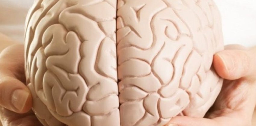 15 интересных фактов о головном мозге - «Здоровье»