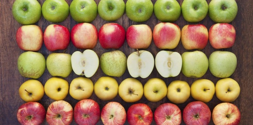 Полезные свойства яблок - «Здоровье»