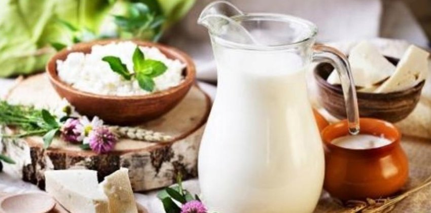 Интересные факты о молоке - «Здоровье»