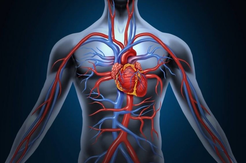Атриовентрикулярная блокада ❤: степени, причины, симптомы, ЭКГ, лечение блокады сердца - «Здоровье»