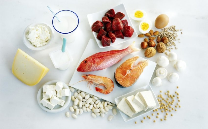 Продукты с большим содержанием белка: таблица высокобелковых продуктов растительного и животного происхождения - «Здоровье»