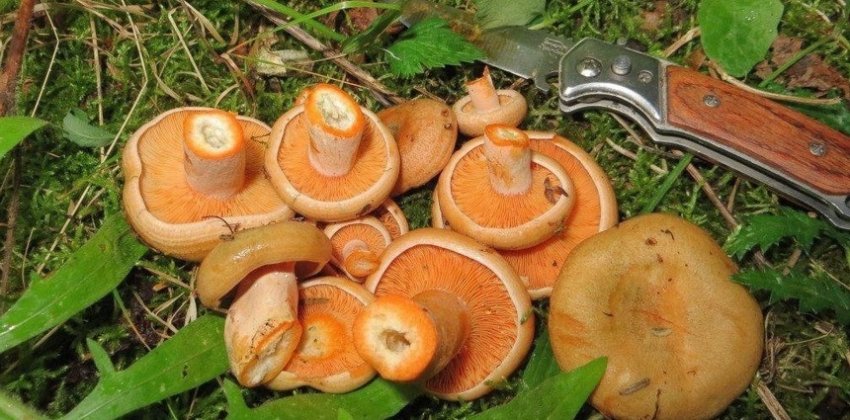 Послание и спасение бедного человека - Женский блог.