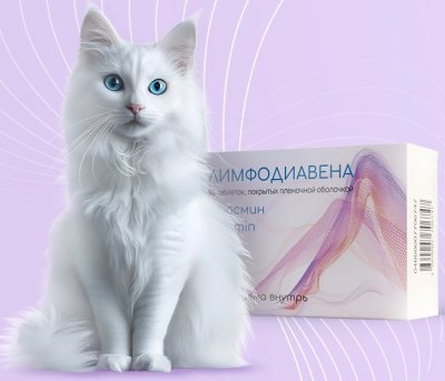 Как правильно носить компрессионные чулки при варикозе