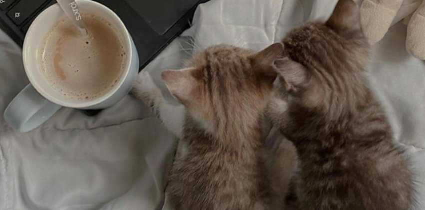 Cамые привлекательные черты знаков зодиака - «Стиль жизни»