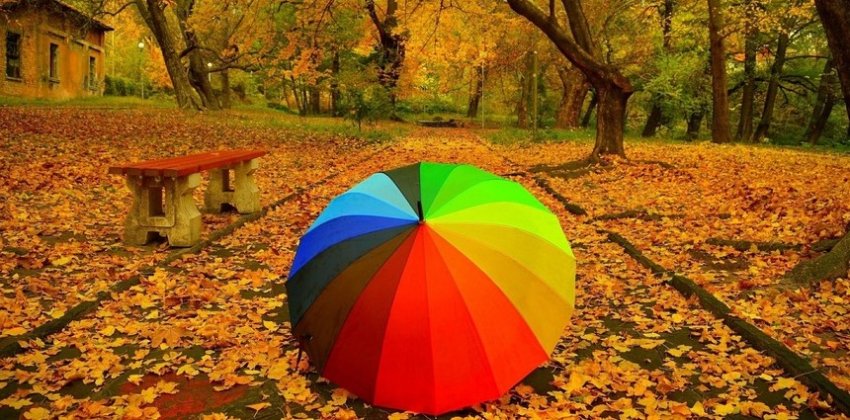 Как не заскучать осенью? - Женский блог.