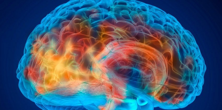 Деградация мозга - как избежать печальной участи - «Стиль жизни»