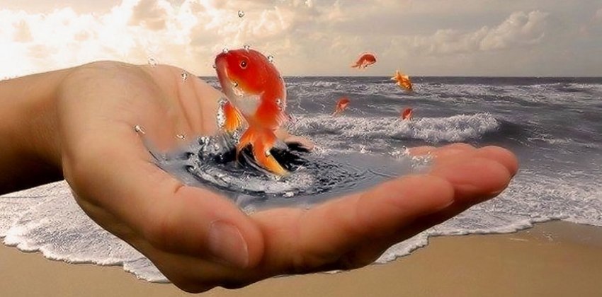 Чего вы на самом деле хотите - «Стиль жизни»