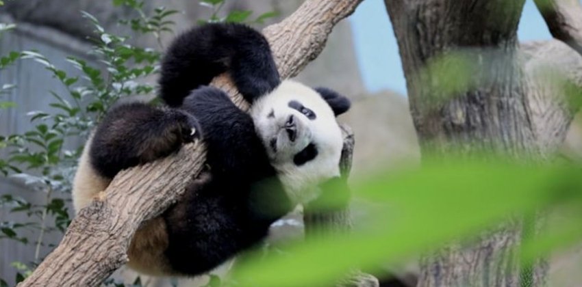 В Китай без виз - «Стиль жизни»